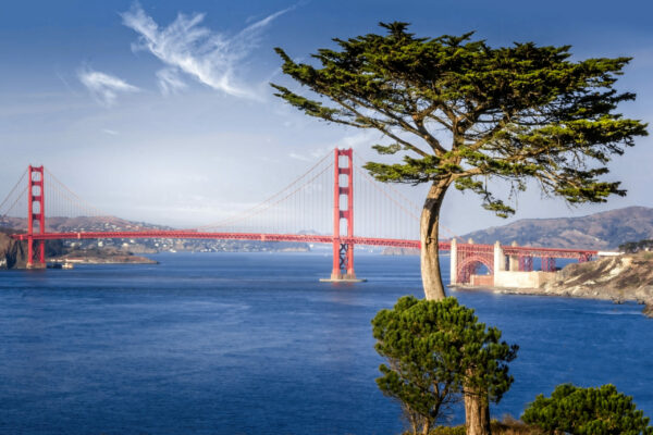 COG Bay Area | Oct 21-22