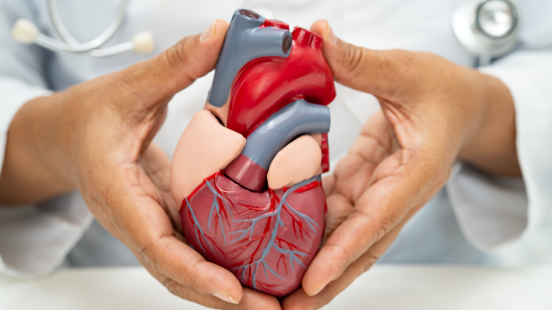 Cardiovascular health: advancing research and innovation for better patient outcomes